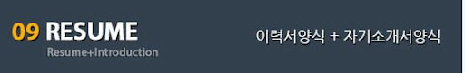유료 이력서 양식