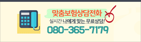 보험비교 소식
